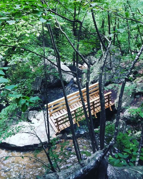 A wooden bridge spans a small stream, surrounded by lush green trees and rocky terrain.