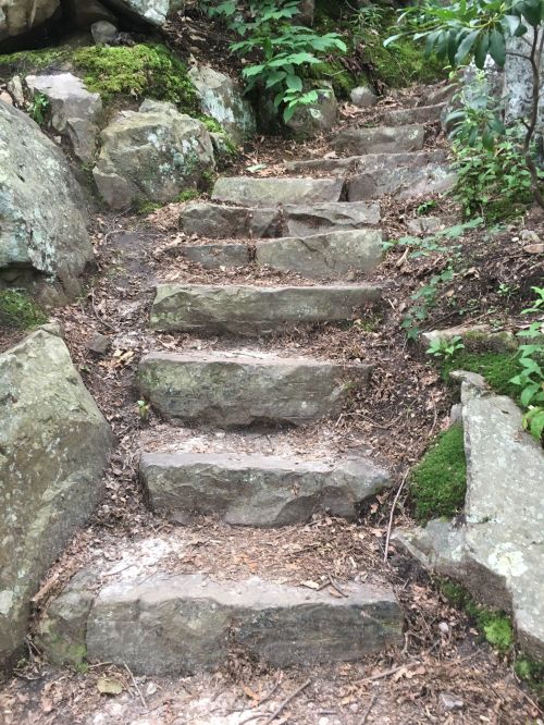 Stone steps lead up a forested path, surrounded by greenery and rocky terrain.