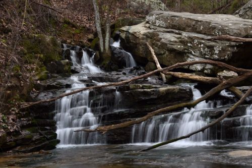 A serene waterfall cascades over rocks, surrounded by trees and fallen branches in a tranquil forest setting.