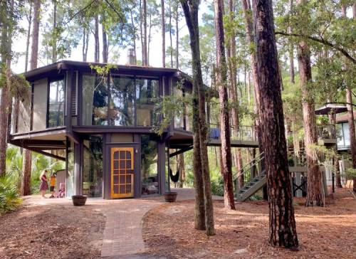 A modern, glass-walled house surrounded by tall trees, with a brick path leading to the entrance.