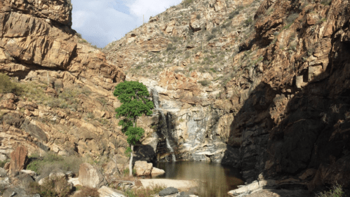 A serene rocky landscape featuring a small waterfall cascading into a pool, surrounded by rugged cliffs and sparse vegetation.