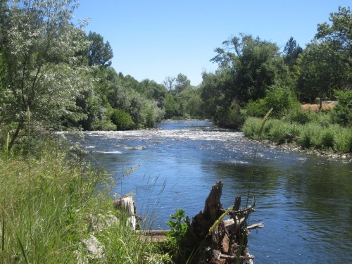 A serene river flows through a lush green landscape under a clear blue sky.