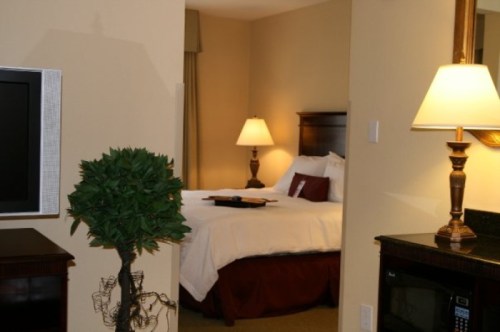 Cozy hotel room with a bed, lamp, and TV, featuring a small decorative plant in the foreground.