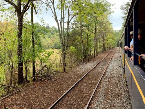 A train travels along a scenic route, surrounded by trees and a grassy field under a cloudy sky.