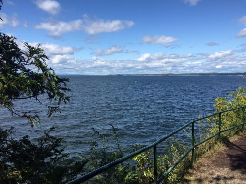 A serene view of a lake under a blue sky with scattered clouds, framed by greenery and a railing along the shore.