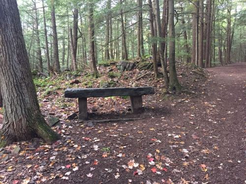 A rustic stone bench beside a forest path, surrounded by trees and scattered autumn leaves.