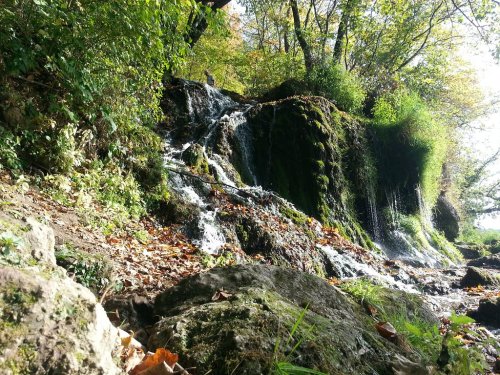 A serene waterfall cascading over mossy rocks, surrounded by lush greenery and autumn leaves.