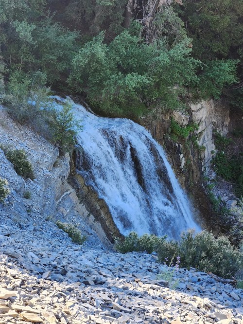 A cascading waterfall surrounded by lush greenery and rocky terrain.