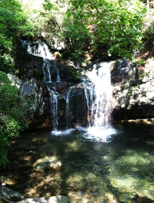 A serene waterfall cascading over rocks into a clear pool, surrounded by lush green foliage.
