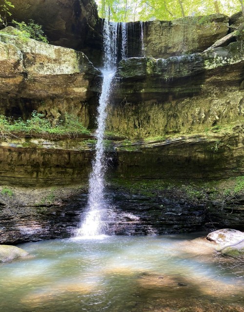 A serene waterfall cascading down a rocky cliff into a calm pool surrounded by lush greenery.