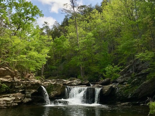 A serene waterfall cascades into a calm pool, surrounded by lush green trees and rocky terrain under a blue sky.