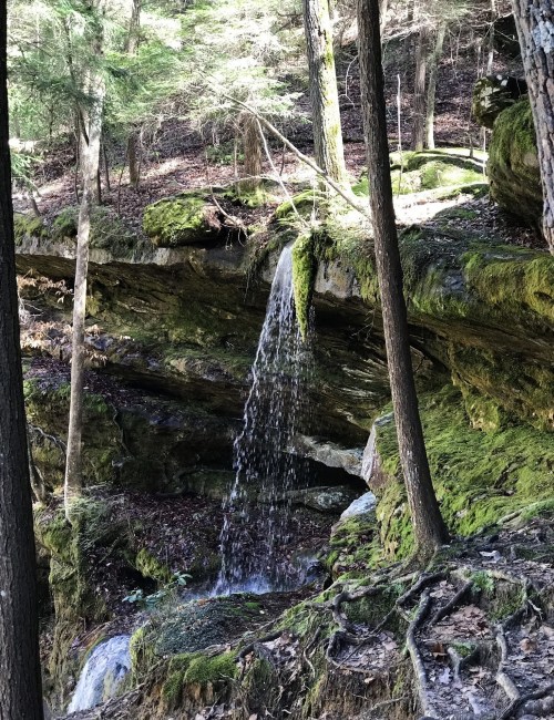 A small waterfall cascades over moss-covered rocks in a lush, wooded area. Trees surround the scene.