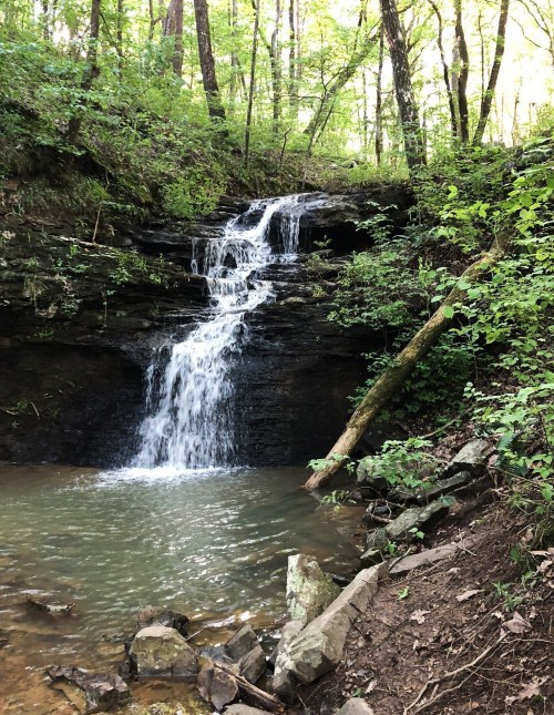 A serene waterfall cascading over rocks into a calm pool, surrounded by lush green trees and foliage.