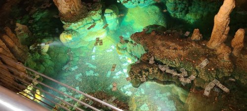 A colorful underwater scene with floating dollar bills among rocks and green lighting.