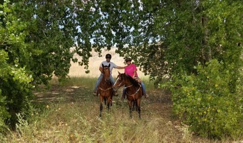 Two riders on horseback stand under a canopy of trees, surrounded by tall grass and a sunny landscape.