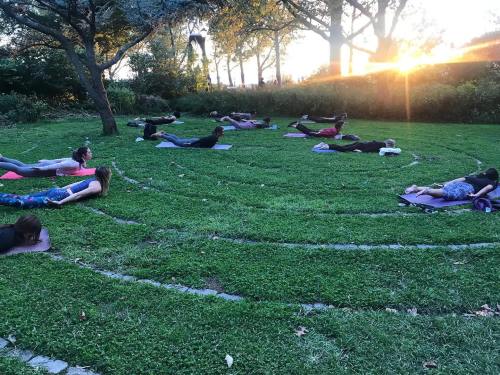 A group of people practicing yoga on mats in a grassy area, surrounded by trees at sunset.