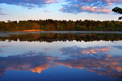 A serene lake reflecting colorful clouds and trees at sunset, creating a peaceful natural scene.