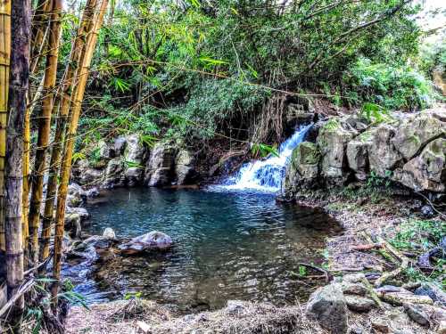 A serene waterfall cascades into a clear pool, surrounded by lush greenery and bamboo.