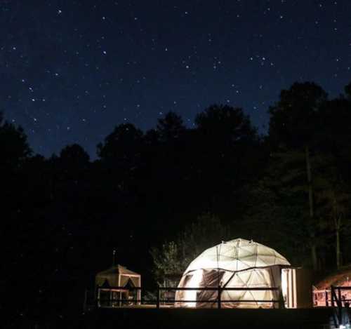 A glowing geodesic dome tent under a starry night sky, surrounded by trees.