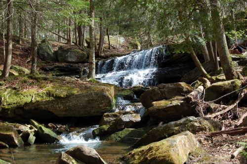 A serene forest scene featuring a cascading waterfall surrounded by lush greenery and large rocks.