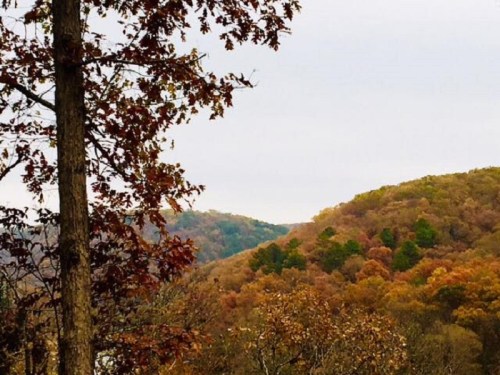 Autumn landscape featuring rolling hills with colorful foliage and a cloudy sky.