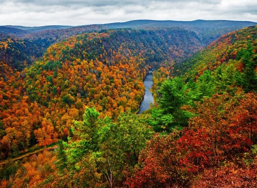 A scenic view of a river winding through vibrant autumn foliage in a mountainous landscape.