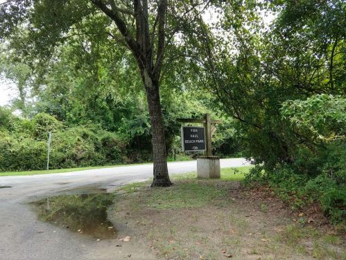 Sign for Fish Hall Beach Park beside a road, surrounded by trees and greenery, with a puddle on the ground.