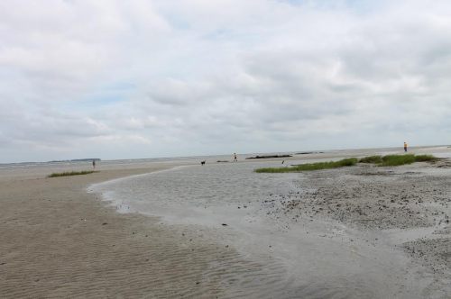 A serene beach scene with low tide, featuring people walking and patches of grass along the shoreline under a cloudy sky.