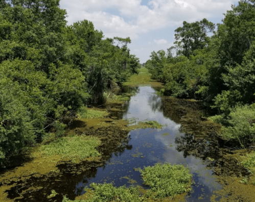 Lush green landscape with a calm, reflective waterway surrounded by trees and vegetation under a partly cloudy sky.
