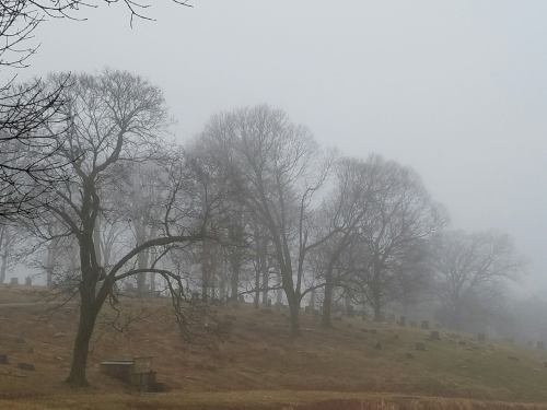A foggy cemetery scene with bare trees and gravestones partially obscured by mist.