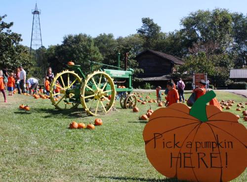 A pumpkin patch with a green tractor, children in orange shirts, and a sign that says "Pick a pumpkin HERE!"