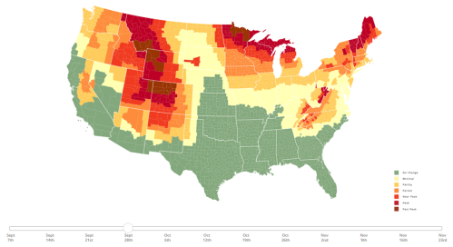Map of the U.S. showing fall foliage progression from September to November, with color-coded peak times for leaf changes.