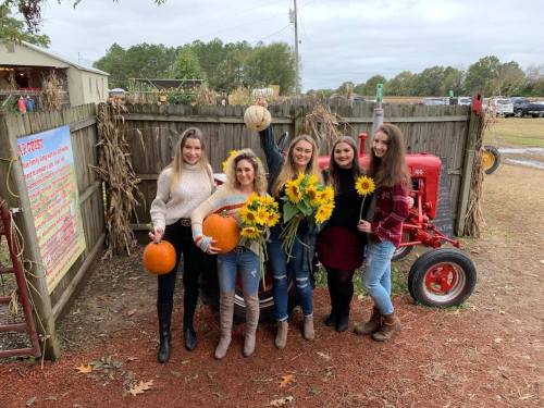 Five women pose with pumpkins and sunflowers in a rustic outdoor setting, with a vintage tractor in the background.