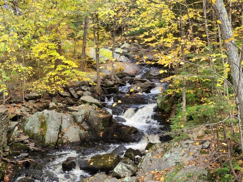 A serene stream flows through a forest with vibrant autumn leaves, surrounded by rocks and greenery.