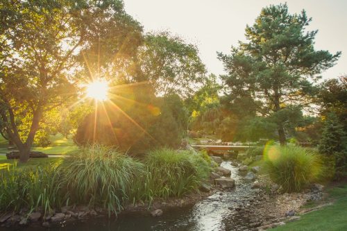 A serene garden scene with a stream, lush greenery, and sunlight filtering through trees.