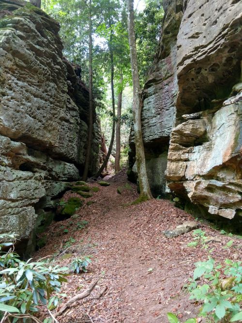 Narrow trail between tall rock formations, surrounded by trees and lush greenery.