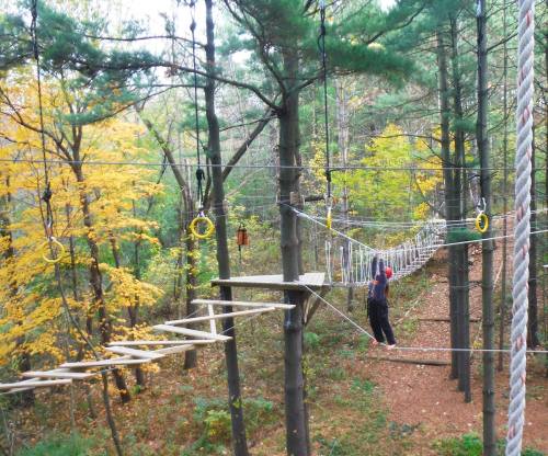A person navigates a treetop obstacle course among trees with autumn foliage.