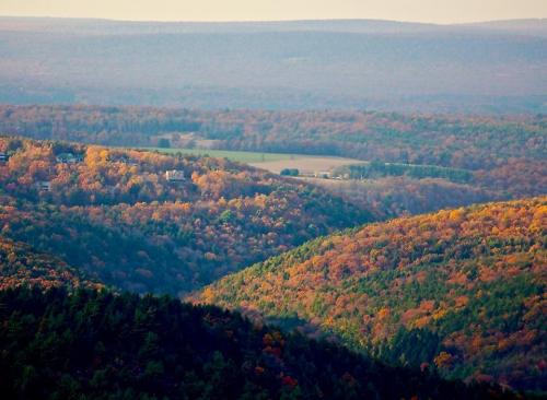 A scenic view of rolling hills covered in vibrant autumn foliage under a clear sky.