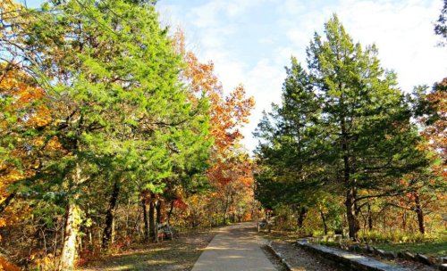 A scenic pathway lined with vibrant autumn trees under a clear blue sky.