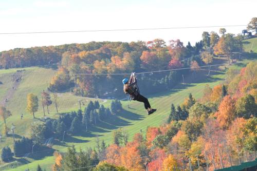 A person zip-lining over a vibrant autumn landscape with colorful trees and rolling hills.