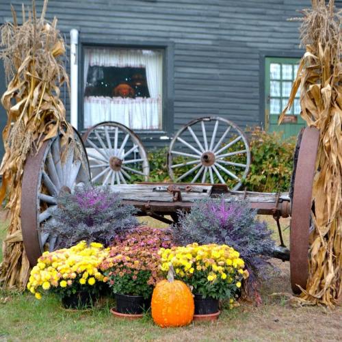 A rustic display featuring a wooden cart wheel, colorful flowers, and a pumpkin, framed by corn stalks.