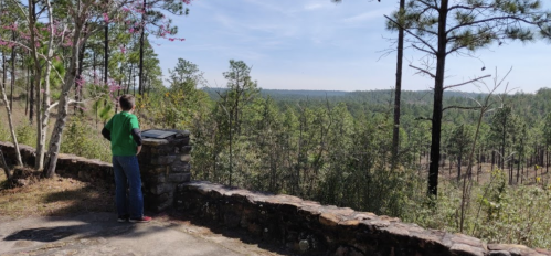 A person in a green shirt stands by a stone wall, gazing at a scenic view of trees and hills under a clear sky.