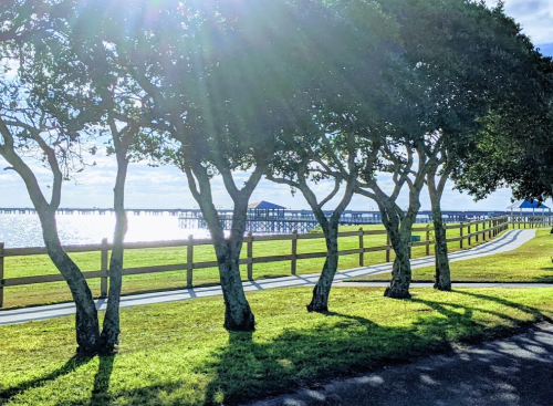 A scenic view of a waterfront path lined with trees, leading to a pier under a bright, sunny sky.