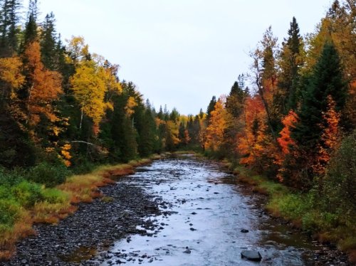 A serene river flows through a forest with vibrant autumn foliage in shades of orange, yellow, and green.