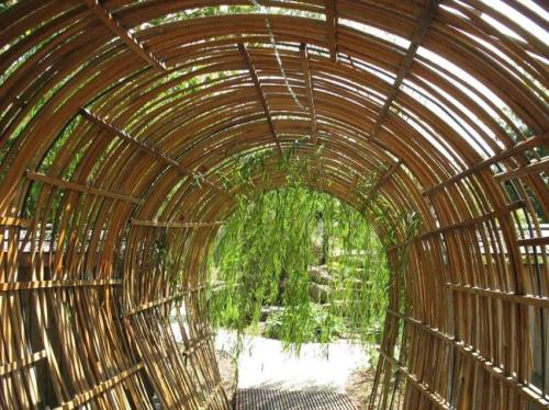 A bamboo tunnel with greenery overhead, creating a natural, serene pathway.