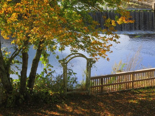 A serene scene featuring a tree with autumn leaves, a wooden fence, and a waterfall reflecting in the water below.