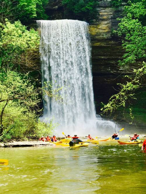 A group of kayakers paddles near a waterfall surrounded by lush greenery on a sunny day.