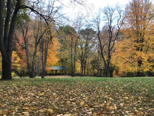 A serene park scene with colorful autumn trees and a gazebo, surrounded by fallen leaves on the ground.