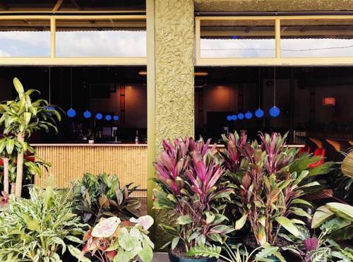 A vibrant restaurant entrance with lush plants and blue pendant lights, creating a welcoming atmosphere.