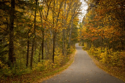 A winding road surrounded by trees with vibrant autumn foliage in shades of yellow, orange, and red.